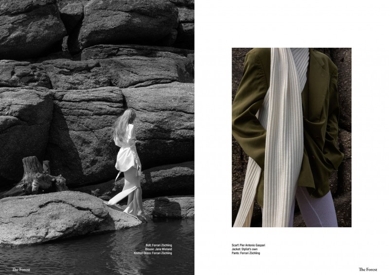 The Forest Magazine (c) Michael Dürr1,91
