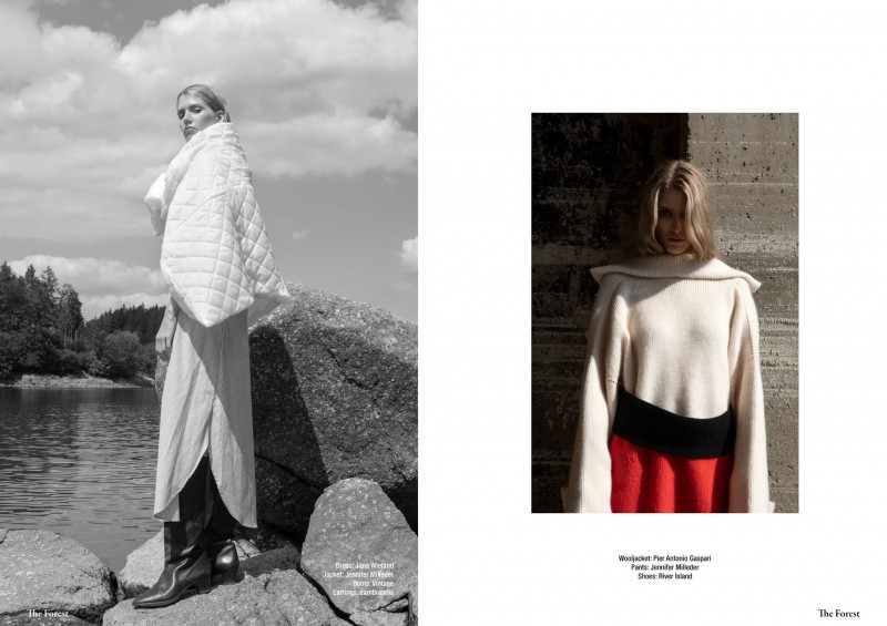 The Forest Magazine (c) Michael Dürr3