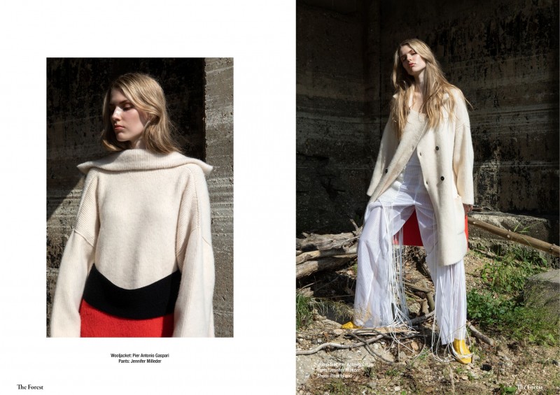 The Forest Magazine (c) Michael Dürr3,2