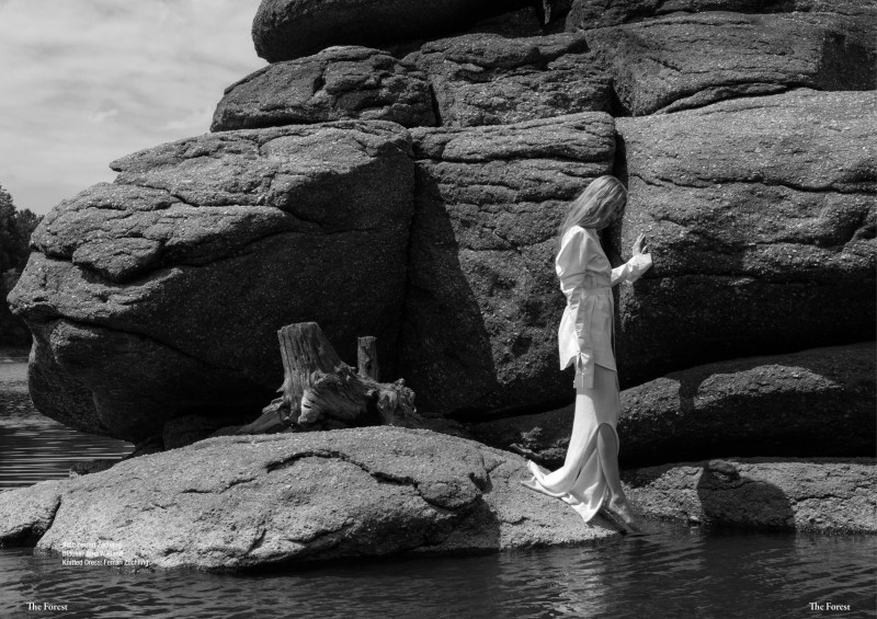 The Forest Magazine (c) Michael Dürr3,3