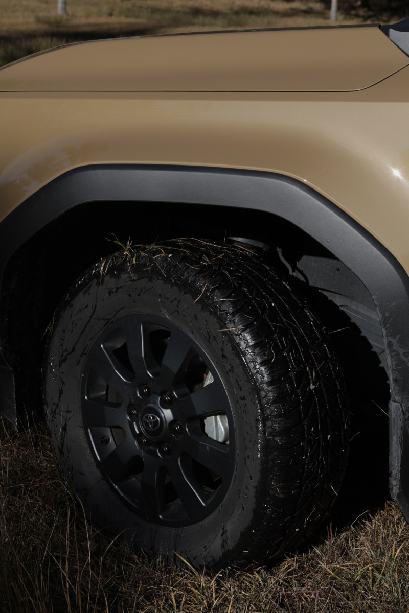 TOYOTA Landcruiser- Bad Aussee und Alt Aussee (c) Michael Dürr _ IMGS7878