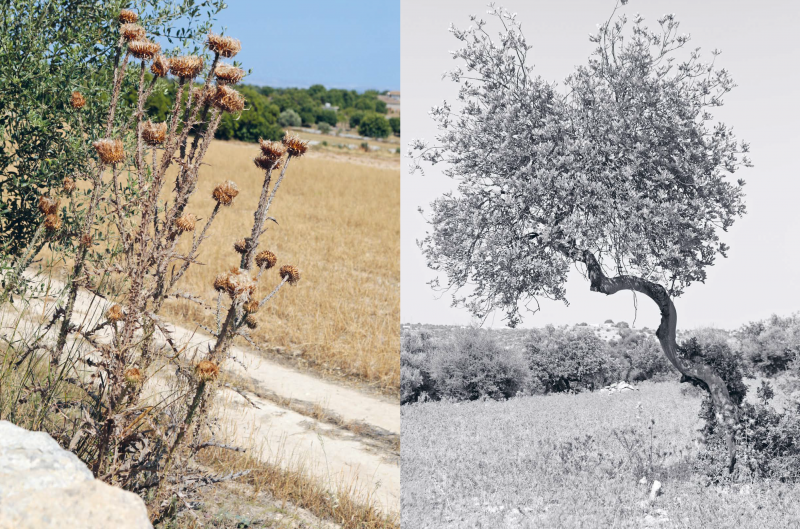 Lanzagallo Sicily The Weekender 3