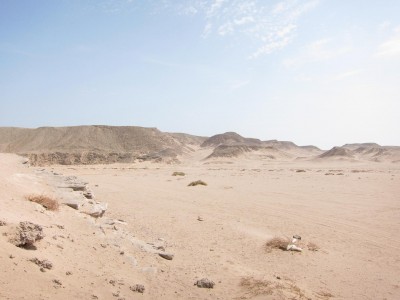mindblowing red sea (c)Michael Dürr